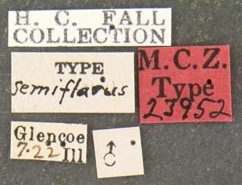 Media type: image;   Entomology 23952 Aspect: labels